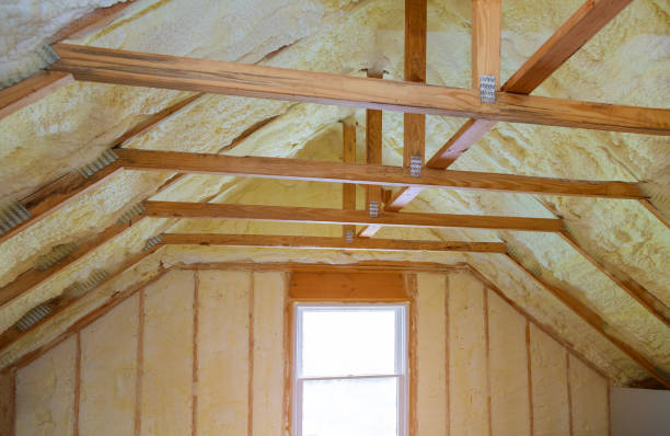 Best Insulation Replacement Services  in Ancient Oaks, PA