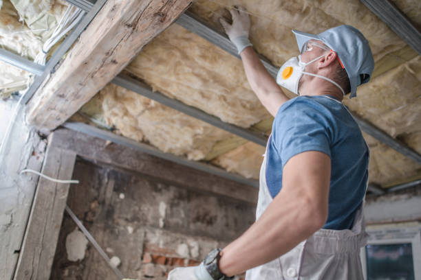Best Energy-efficient Insulation  in Ancient Oaks, PA